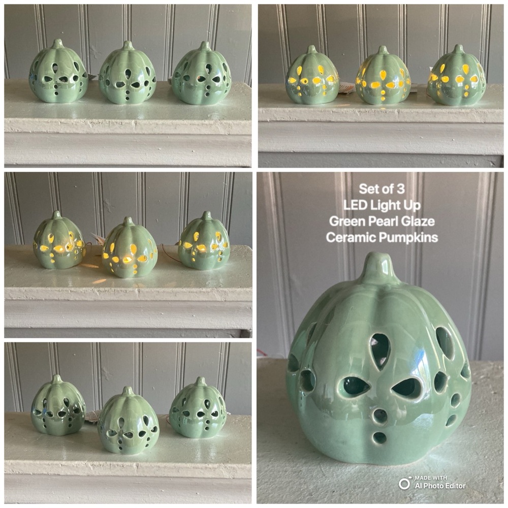 NWT Set of 3 LED Light Up Ceramic Pearl Glazed Petal Cutout Pumpkin Decorations
